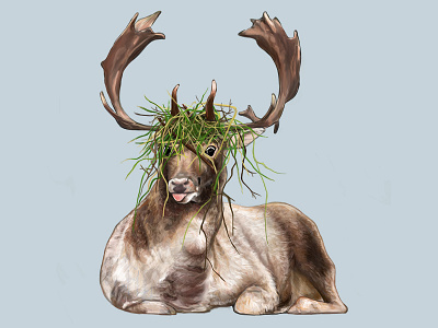 Derp Deer animal deer derp derpy forest nature painting reindeer silly wildlife