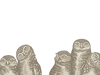 Burrowing Owls block print illustration kidlitart linocut owl owls picture book picturebook printmaking