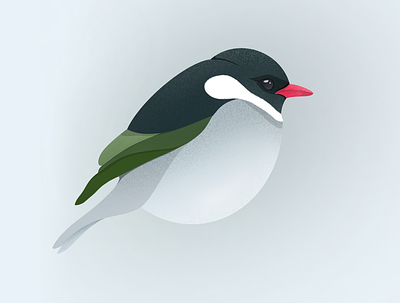 Bird branding design flat illustration minimal vector
