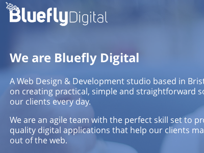 New Bluefly Digital Site bluefly design digital web