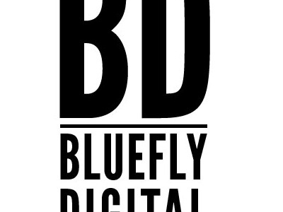 Bluefly Digital Logo Concept bluefly digital concept logo