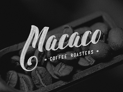 Macaco Coffee Roasters brush coffe coffee roasters lettering logotype macaco type typography