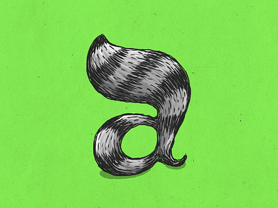 Raccoon a a alphabet coon custom type illustration lettering mapache raccoon type typography