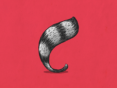 Raccoon c alphabet c coon custom type illustration lettering mapache raccoon type typography