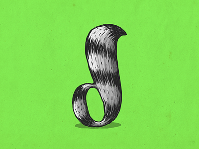 Raccoon d alphabet coon custom type d illustration lettering mapache raccoon type typography