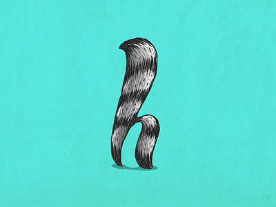 Raccoon h alphabet coon custom type h illustration lettering mapache raccoon type typography