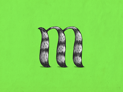 Raccoon m alphabet coon custom type illustration lettering m mapache raccoon type typography