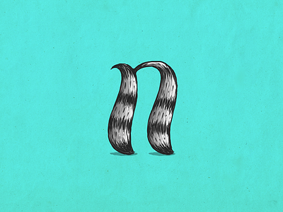 Raccoon n alphabet coon custom type illustration lettering mapache n raccoon type typography
