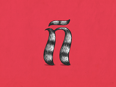 Raccoon ñ alphabet coon custom type illustration lettering mapache raccoon type typography ñ