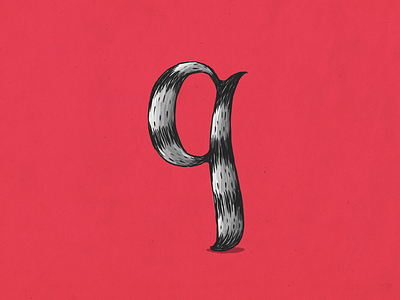 Raccoon q alphabet coon custom type illustration lettering mapache q raccoon type typography