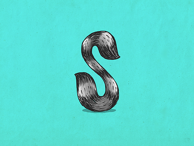 Raccoon s alphabet coon custom type illustration lettering mapache raccoon s type typography