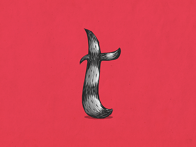 Raccoon t alphabet coon custom type illustration lettering mapache raccoon t type typography