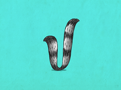 Raccoon v alphabet coon custom type illustration lettering mapache raccoon type typography v