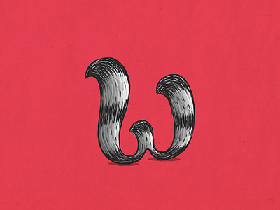Raccoon w alphabet coon custom type illustration lettering mapache raccoon type typography w