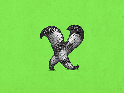 Raccoon x alphabet coon custom type illustration lettering mapache raccoon type typography x