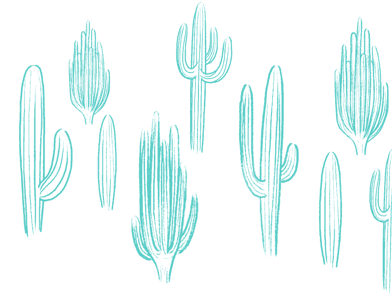 Sahuaros animation brush cactus cel animation desert gif illustration mexico motion sahuaros sonora texture