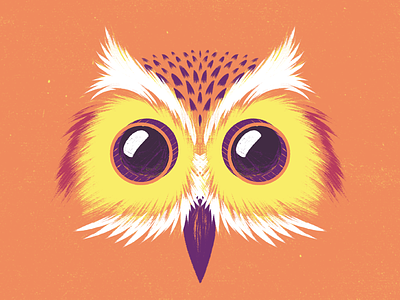 Camera Owl animal búho camera cine cinema film grain illustration owl texture wacom