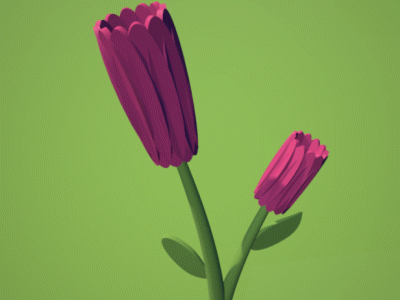 Spring flower 3d cinema4d flat flower leaf mograph spring