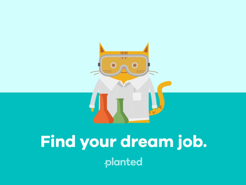 Planted Marketing animation cat planted