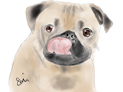 Doug The Pug animal art cute dog illustration pet pug