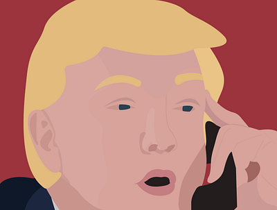 Donald Trump Portrait celebrity design illustration illustrator portrait portrait art portrait illustration vector