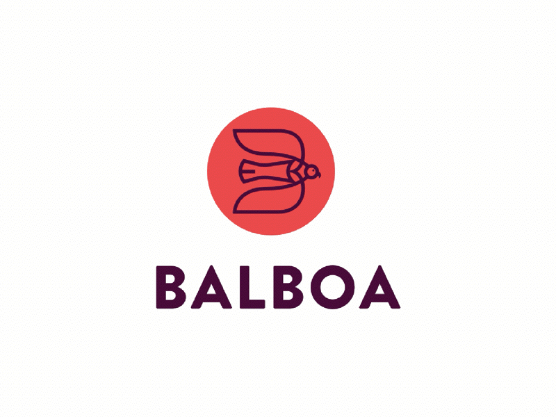 Balboa Identity balboa brand branding cloud gif identity system