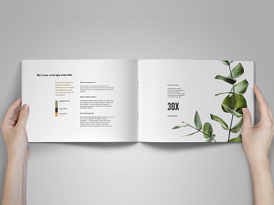 Mammoth Microbes - Book Spread agriculture booklet design cannabis branding cannabis design design layout spread