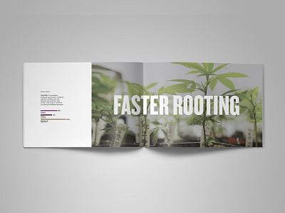 Mammoth Microbes - Book - Spread agriculture cannabis branding cannabis design design layout layoutdesign product brochure product marketing typography