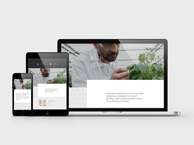 Mammoth Web Responsive agriculture cannabis branding cannabis design cannabis marketing design layout product website responsive design responsive website texture ui ux website design