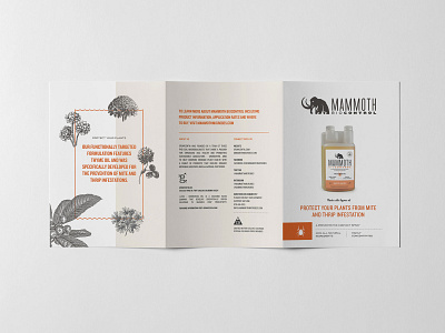 Mammoth MBPI Brochure Spread agriculture brochure brochure layout cannabis branding cannabis design layoutdesign product brochure