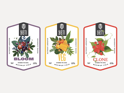 Yeti Labels - Discovery agriculture illustration label design label packaging layout layoutdesign organic organic art product design