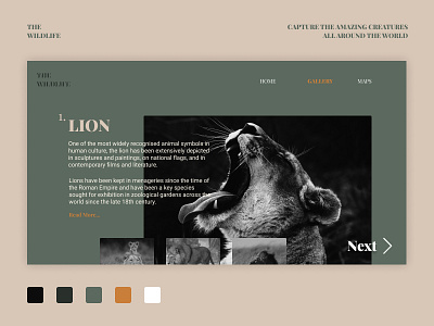 TheWildlife Ui design | Simple Web Design animal bnw branding design figma flat flat design flat design flatdesign fun green photography typography ui ux web web design webdesign website website design