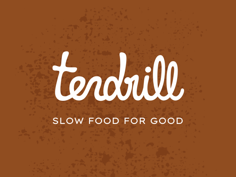 Tendril Logo Concept digital design illustrator cc logo logodesign vector