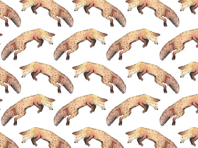 Jumping Fox Pattern