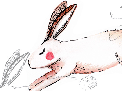 Hare animals bunny hand drawn hare illustration pen rabbit watercolor watercolour