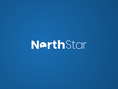 North Star Logo branding business company company brand logo company branding company logo consultancy consulting illustration logo serbia