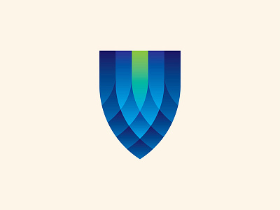 Shield design icon logo vector