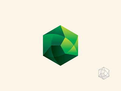 Green Hexagon Logo design icon logo vector