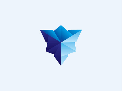 Ice Shield design icon logo vector