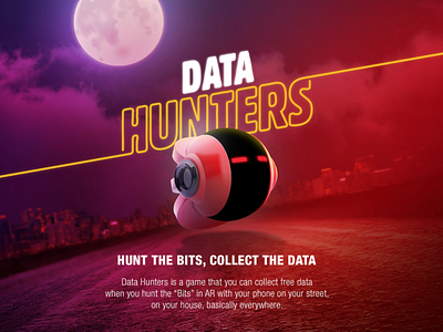 data hunter