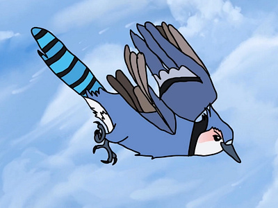 Bluejay in Flight animation design illustration