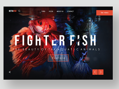 Betta Fish Website Landing page