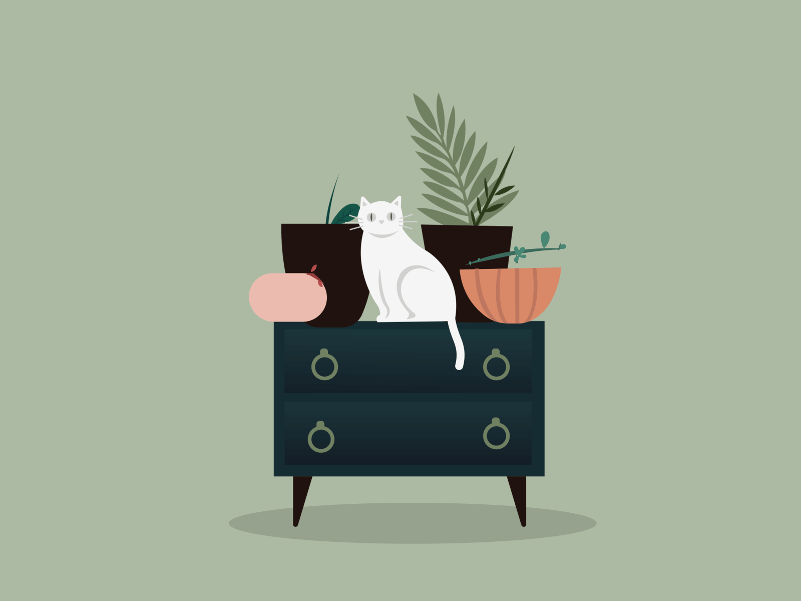 cat and plant
