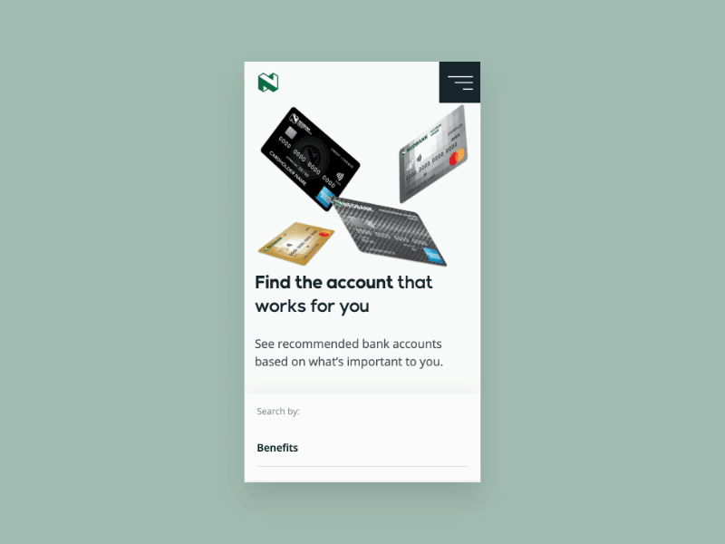 NB Financial Services UI design