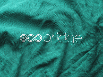 ecobridge Brand eXperience Design brand brand design brand identity branding bx company eco ecobridge font logo