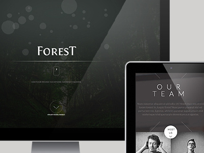 Forest - Unique Multipurpose Responsive Template clean creative design flat inspiration modern parallax website