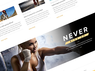 Never Give Up avathemes beautiful bold clean modern new theme sport themeforest