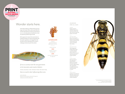 National Museum of Natural History — Brochure Interior Spread brochure design design layout layout design typography