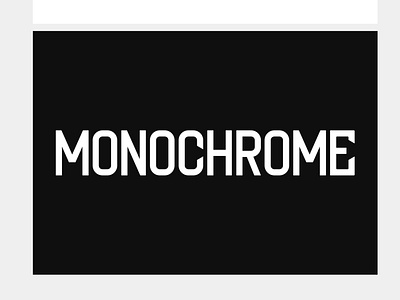 MONOCHROME design flat typography vector