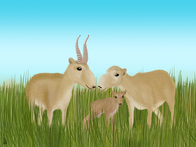 Saiga Family animal antelope cute family illustration saiga sketch steppe